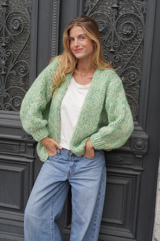 Steffi Alpaca Cardigan Short - Green Multicolor