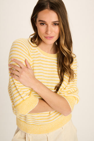 Liliane Cotton Knitted T-Shirt - Yellow, Off White Striped