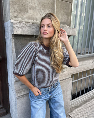 Frederica Pullover Puff Sleeves Brown / Light Blue